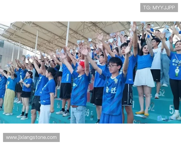 球迷自发组织在线讨论会深入解析比赛细节与战术布置